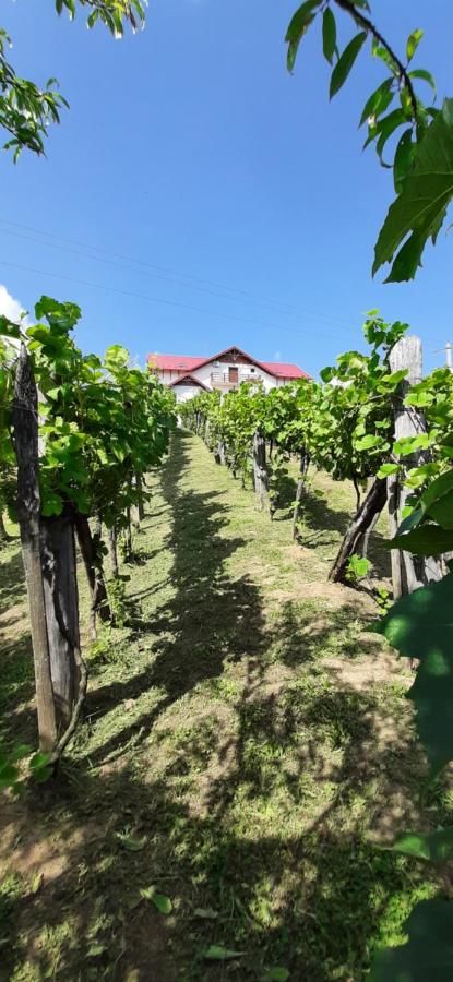 Отели типа «постель и завтрак» Panorama Cehu Silvaniei-12