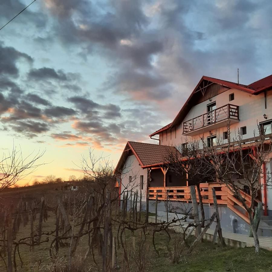 Отели типа «постель и завтрак» Panorama Cehu Silvaniei-30